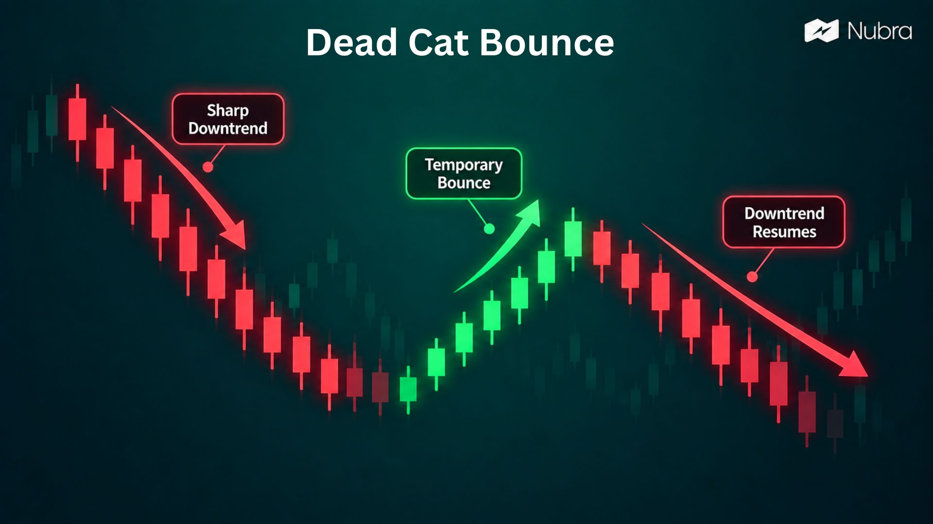 Dead Cat Bounce